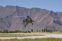 曾肩飞翔的和友