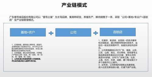 单品牌深耕及家族品牌延展的案例解析